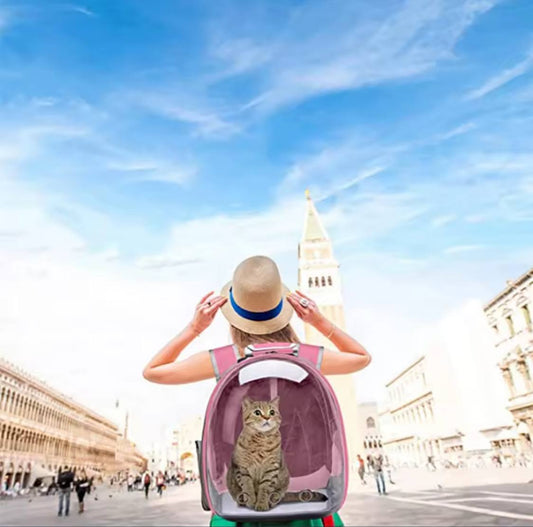Cat Pet Carrier Backpack Transparent Capsule Bubble Pet Backpack Small Animal Puppy Kitty Bird Breathable Pet Carrier for Travel