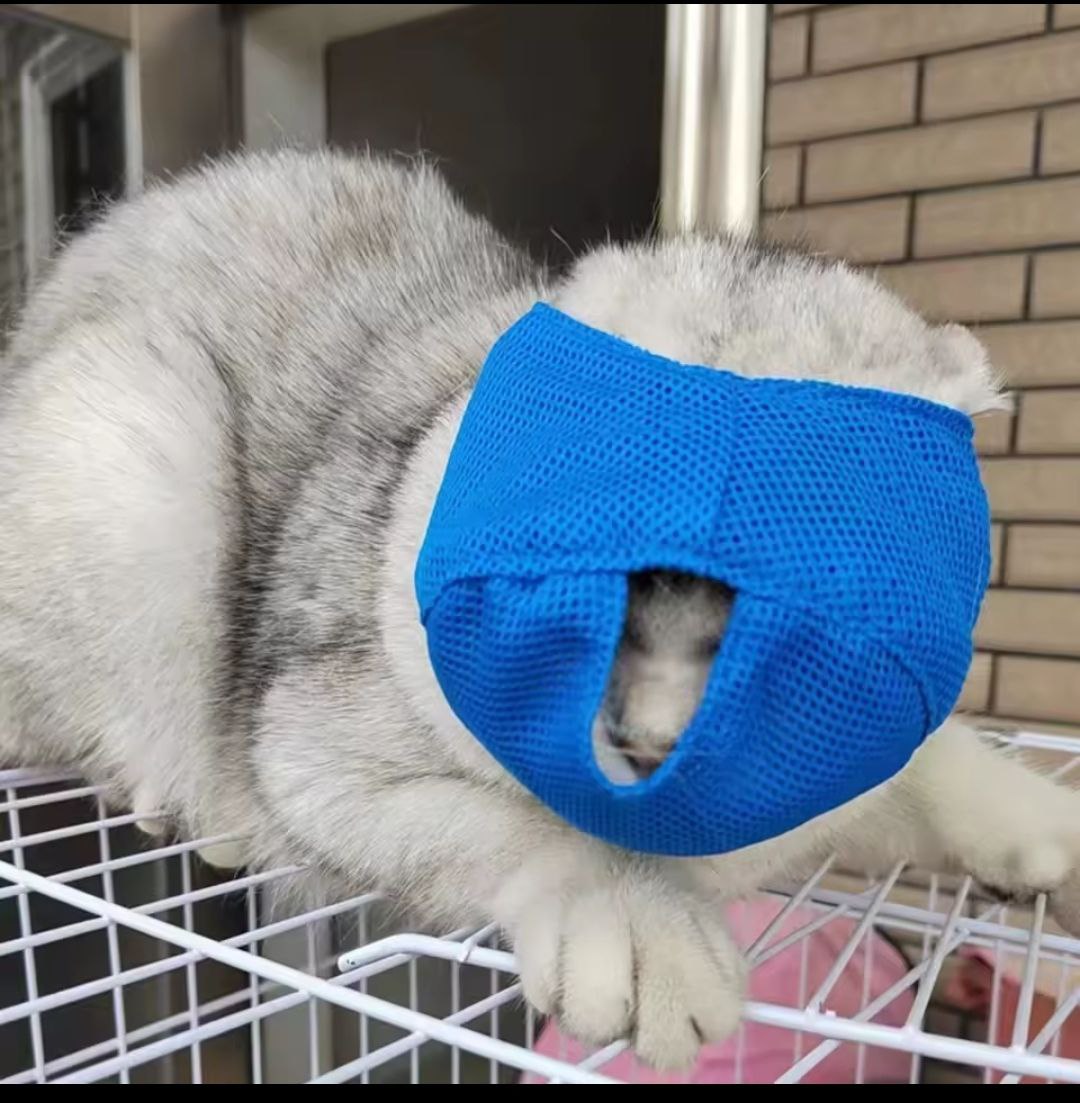 CalmPaw Cat Muzzle