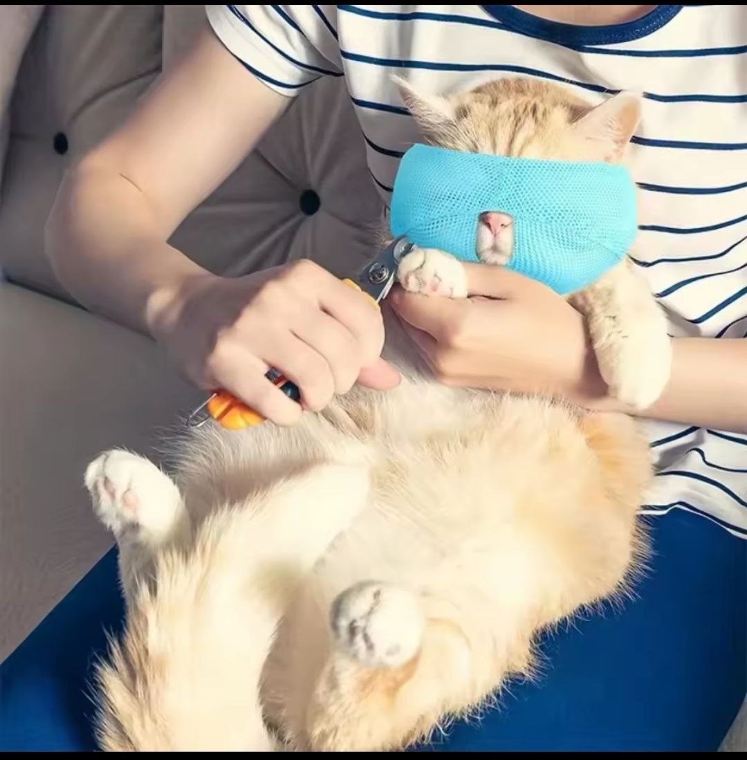 CalmPaw Cat Muzzle