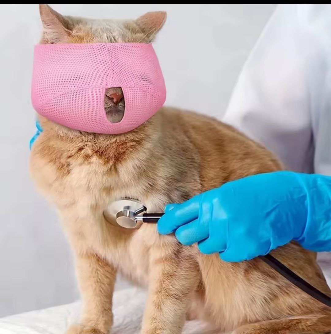 CalmPaw Cat Muzzle
